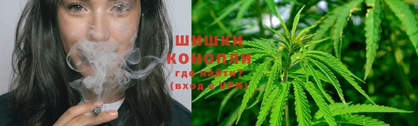 крисы Белокуриха