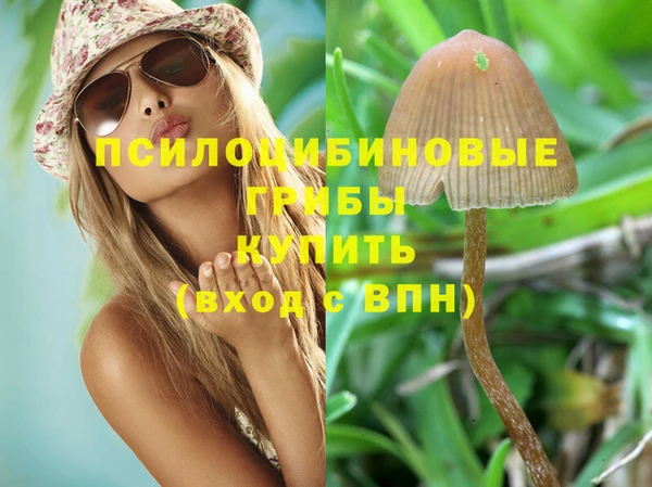 дурь Беломорск